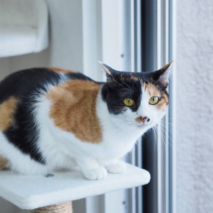 49116905 2dd1 4177 b18a c162669f30b0