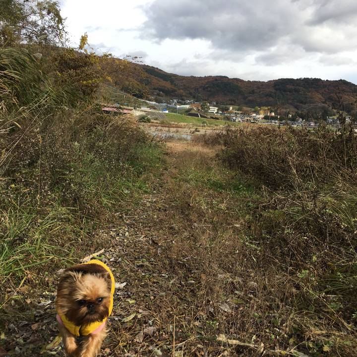 49117633 62b4 4e05 ab7c e59502663e32