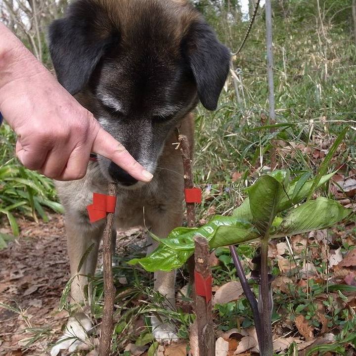 4911af45 5c41 409c a3d0 fe80aba570ce