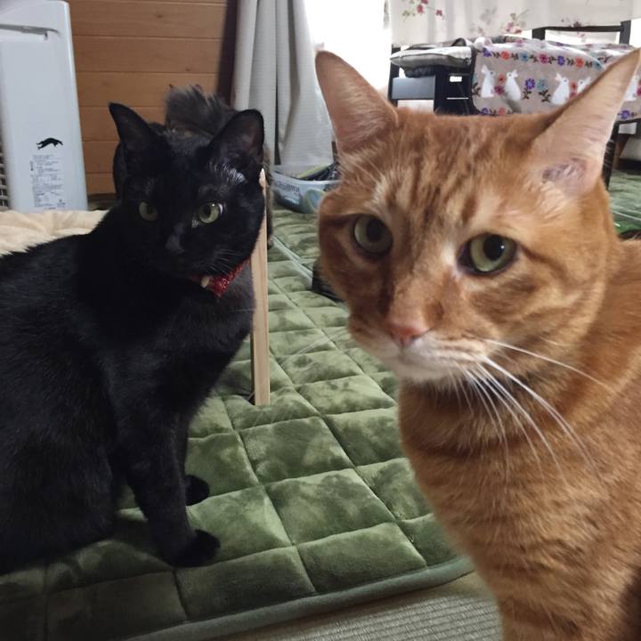 4911bb5a 4013 4b23 a9b7 e91357bd5edc