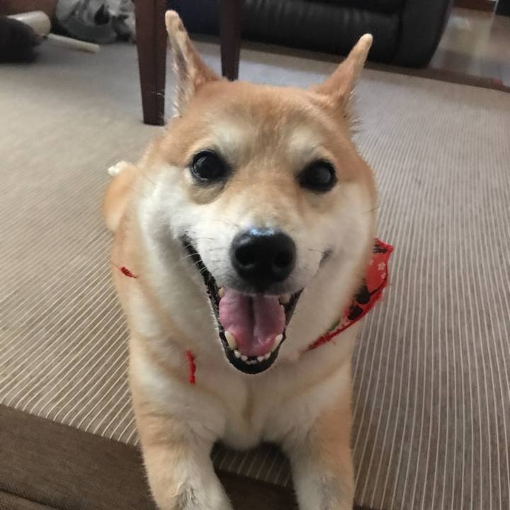 491246f9 3b25 4ea4 98cc 149ac6af582c