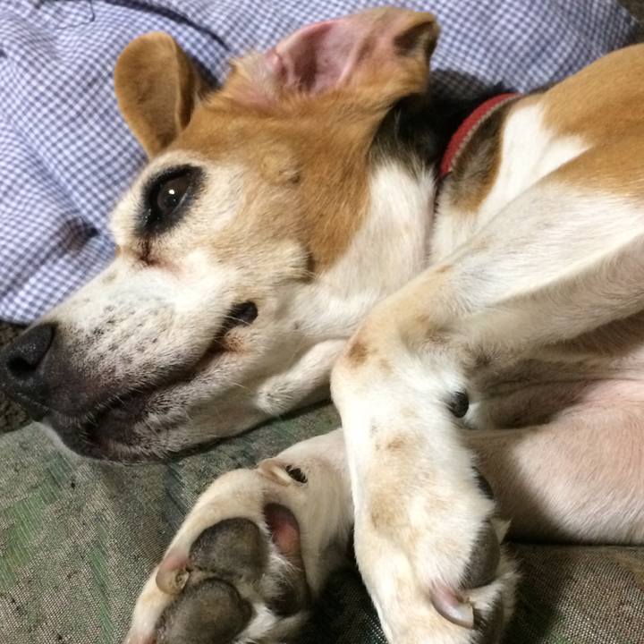 4913b287 5561 4dd0 b9ee 275970c3f131