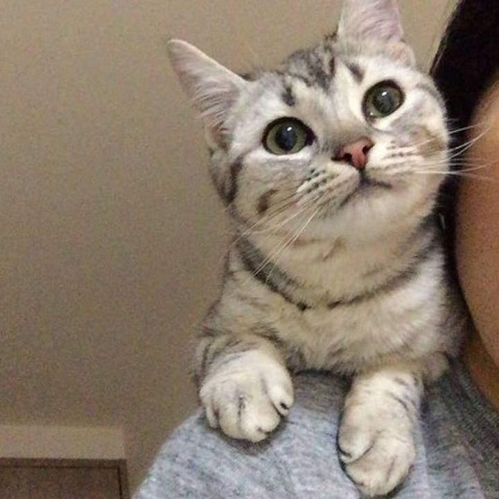 49141771 87cb 4c40 8398 39c5a48a66a2