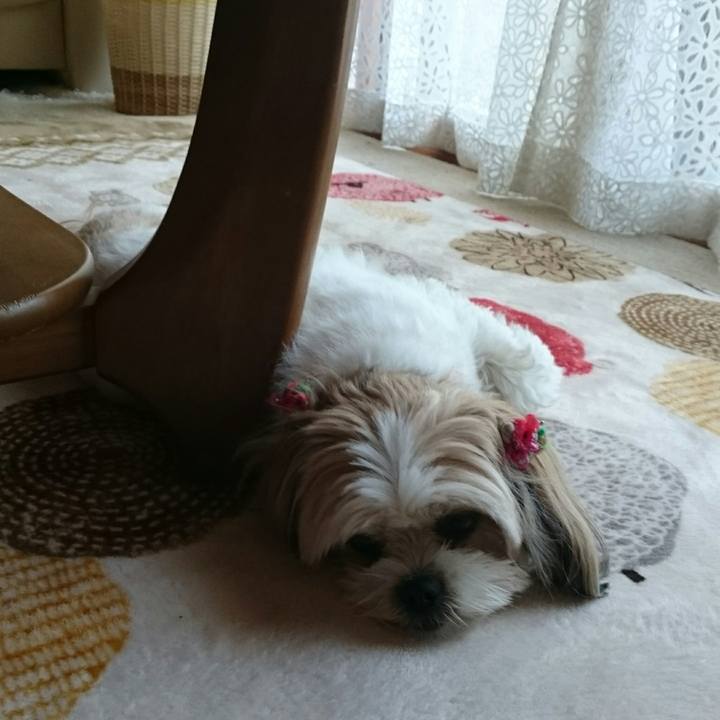 4915783c 22be 4468 8bf6 650d5677a95a