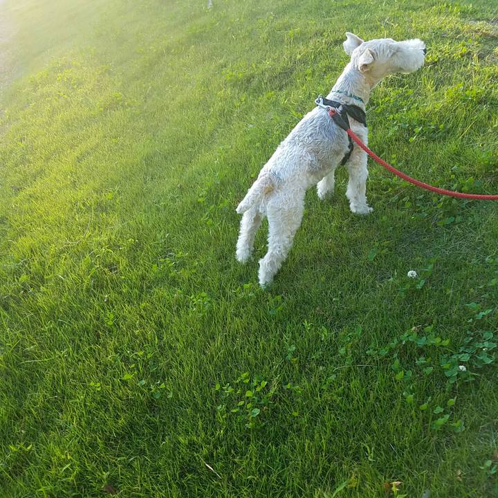 4915f304 4c56 4a3d abde 42352dfa472c