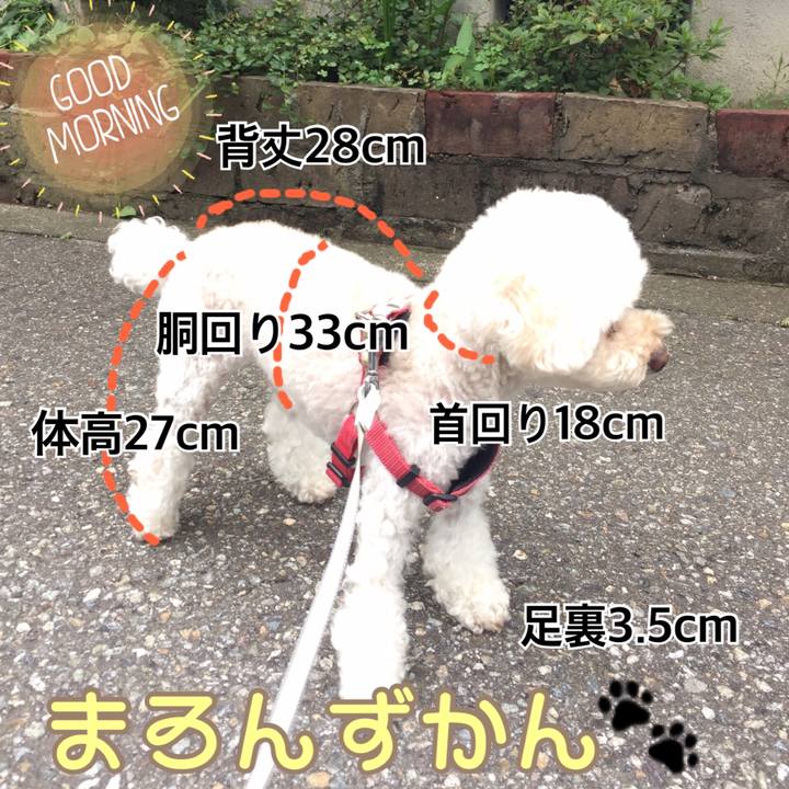 49163836 b81d 4c41 8531 3f4715cc702d