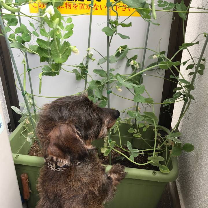 4916b165 1f39 49b2 beec 35506a6cce74