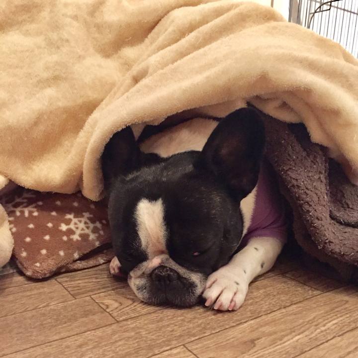 4916d152 0ea7 40a1 89c3 20351c4bf3f8