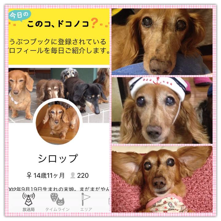 49173302 f99d 426b 87d8 388e2e0845a4