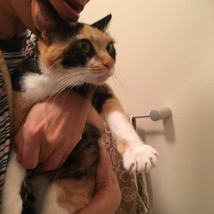 49177d4a b5d8 451d be76 449965ae6cbd