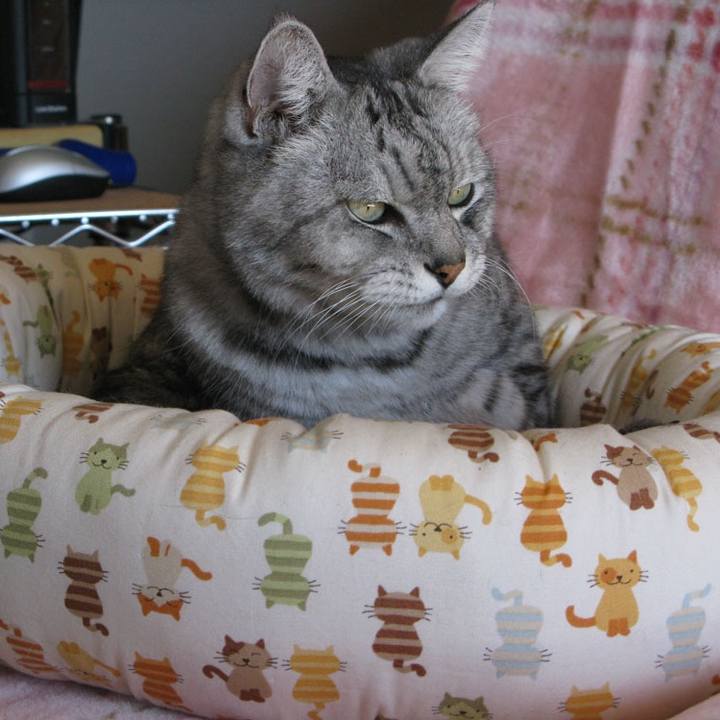 4917b5d8 b1a0 457f 8ad7 9bcdd78e71ef