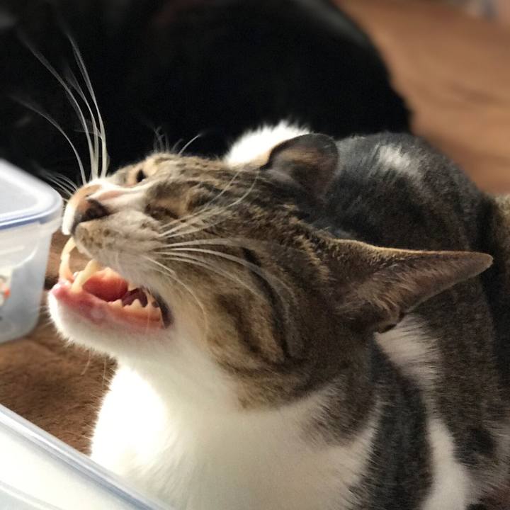 49183249 cdfc 47b6 9d65 24e578c3808f