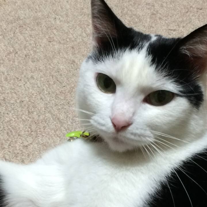 491aeac1 310d 42ea bfbb e4c5344d855e