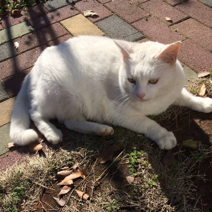 491af004 1b5b 44ec 8396 26a310f978d6