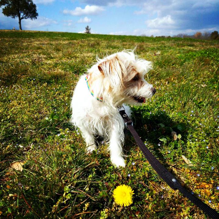 491af056 50c2 4e9b 983c 2b577954331f