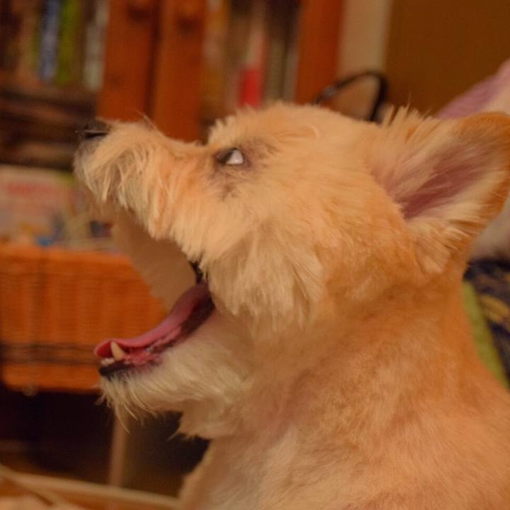 491bcda5 9767 4c9b ad50 0e547ba82ca1