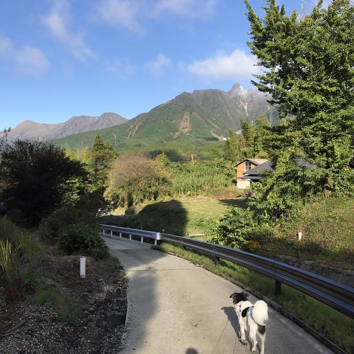 491c2ad0 6e9e 43b3 b6f6 185104b911d5