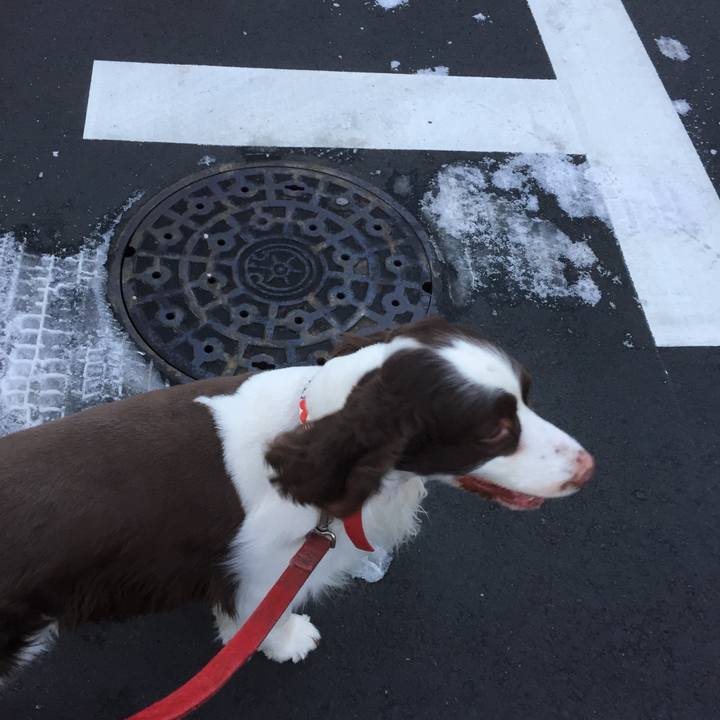 491c499e f3b6 4cc3 b931 ab0fa0d7ddae