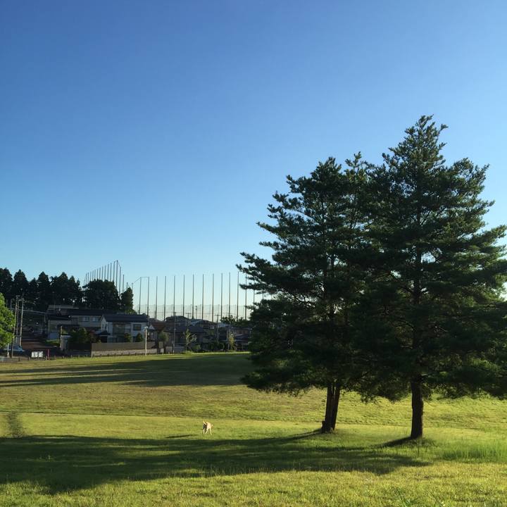 491c567c a82b 4d15 a0a8 76310018c3fe