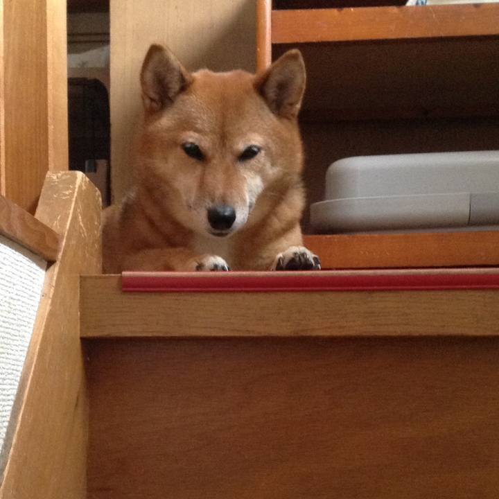 491db951 fb24 430c 9bc7 bc852dc0c3ef