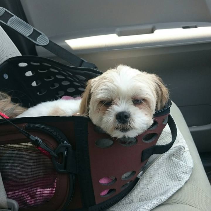 491ea442 e163 4c58 a498 06be1030ecdc