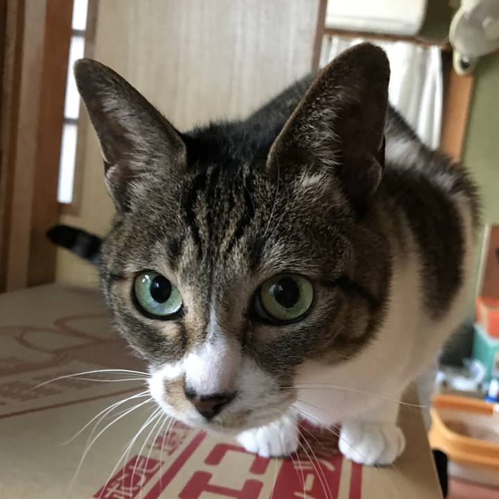 491f22b2 7948 4aa4 843d 26eb67429536