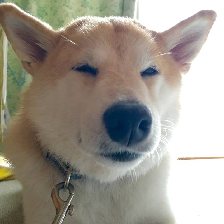 491f2f6c 537e 4e56 a66d a6719a5cbe4c