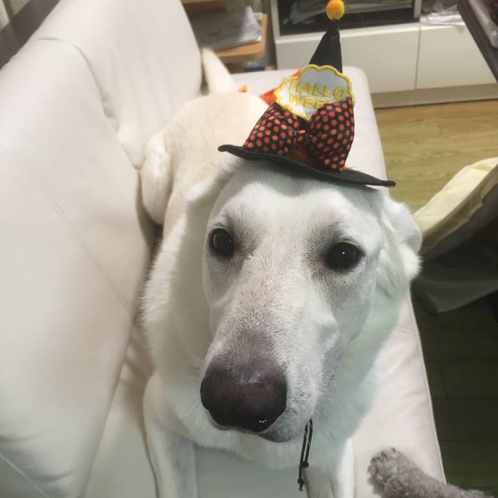 491f3678 a50c 410e bced 33faad430a6c