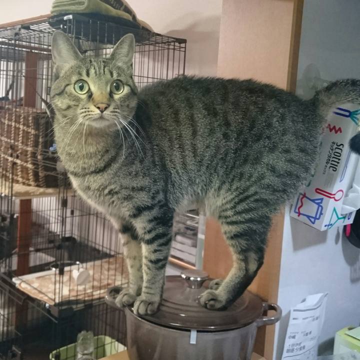 491f6ebf 5173 4b61 ac70 8b061977b4a0