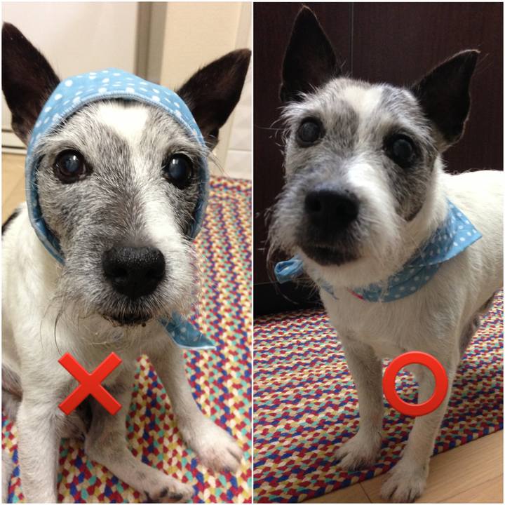 49209a87 964e 47e5 94a1 3ea02c84510c