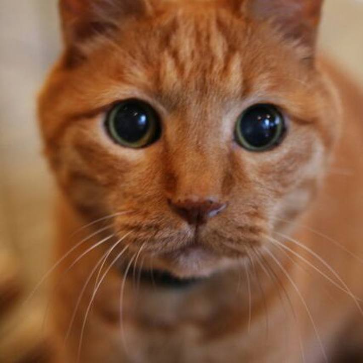 4921293f 1507 4b99 bbac 01c33536d575