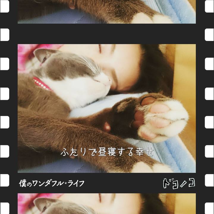 49218fd7 ca8a 4c52 937e ba2b3dac8b94