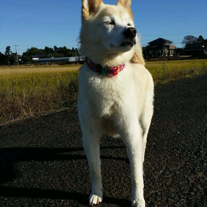 4921d62f cabc 4253 8a60 c88c6abfefe1