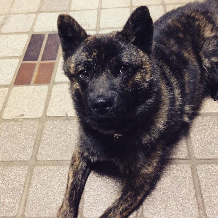 4922a042 0c3e 404a af94 09203d82eb08