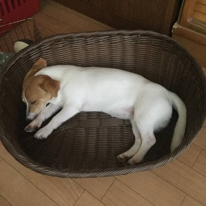 4922a1a3 4c6d 4972 b47a 3b94f35a5059