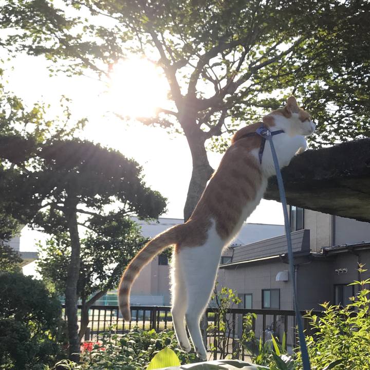 4922a480 a01a 4e08 8f11 1a3baf97a8dd