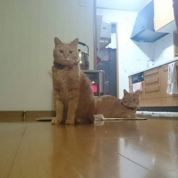 49232e85 8366 4d93 a2f0 927a26e14a8d