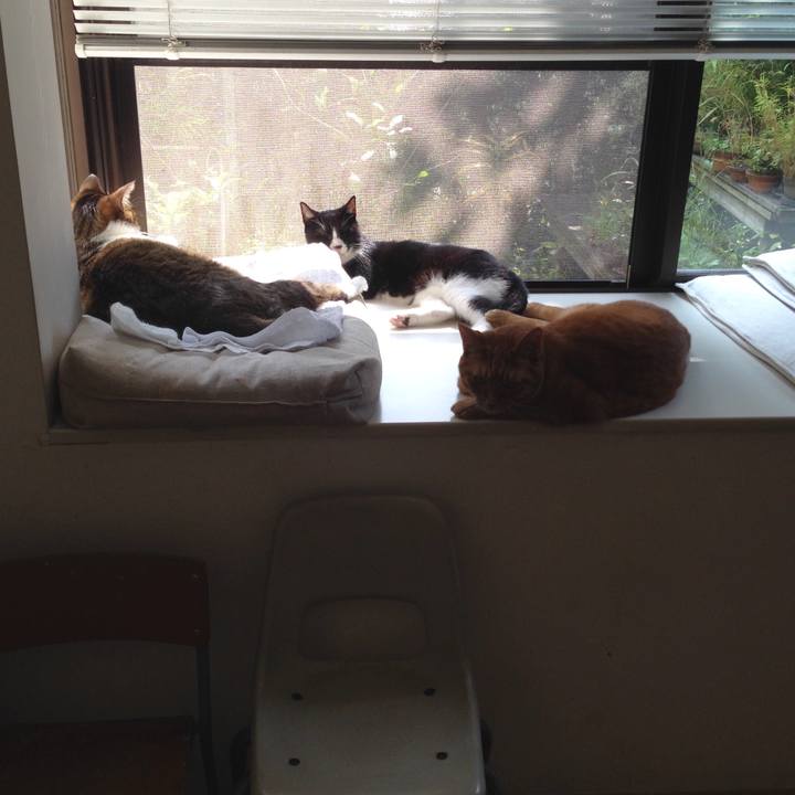 49238673 8be6 4f99 bd9d 93d3dfba46d4