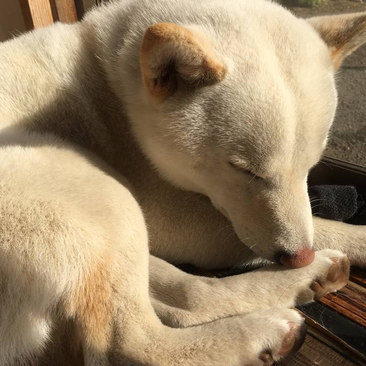 49239a39 126c 4ed4 b86c 923861c59fa5