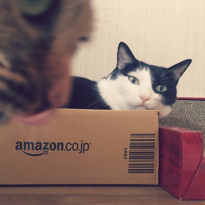 4923b235 6199 40c3 afc0 a76b54e3f4d8