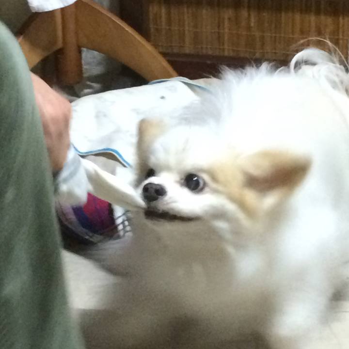 49240046 0b6b 49af 9915 fbcedbf2e31c