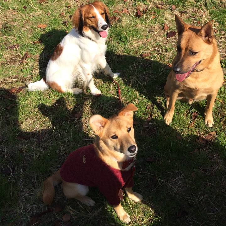 49242d7c 9c99 472b 8881 f7ed3a8c9cb3