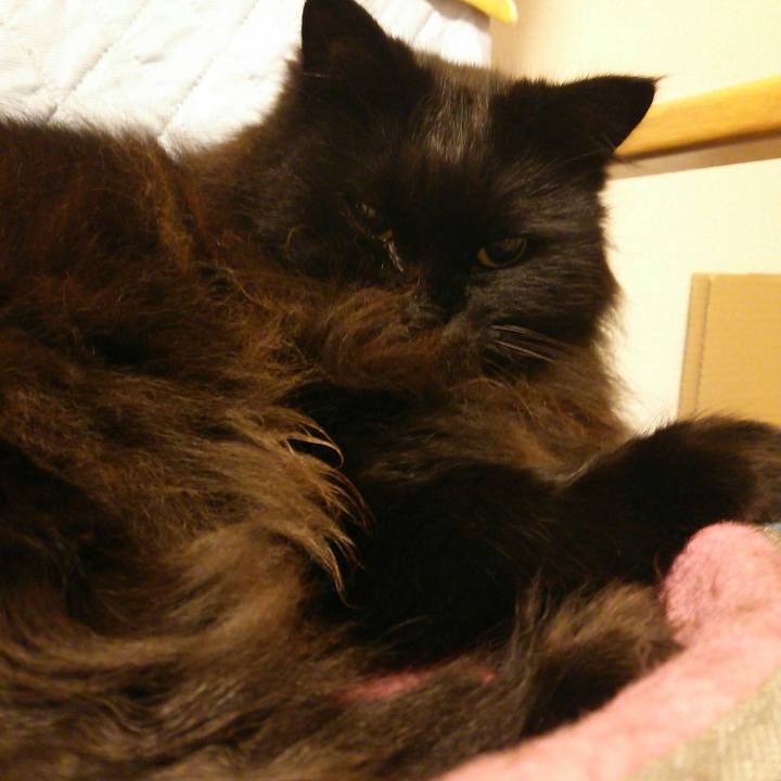 492445af 7e67 4170 9a61 6dd1c66a26a7