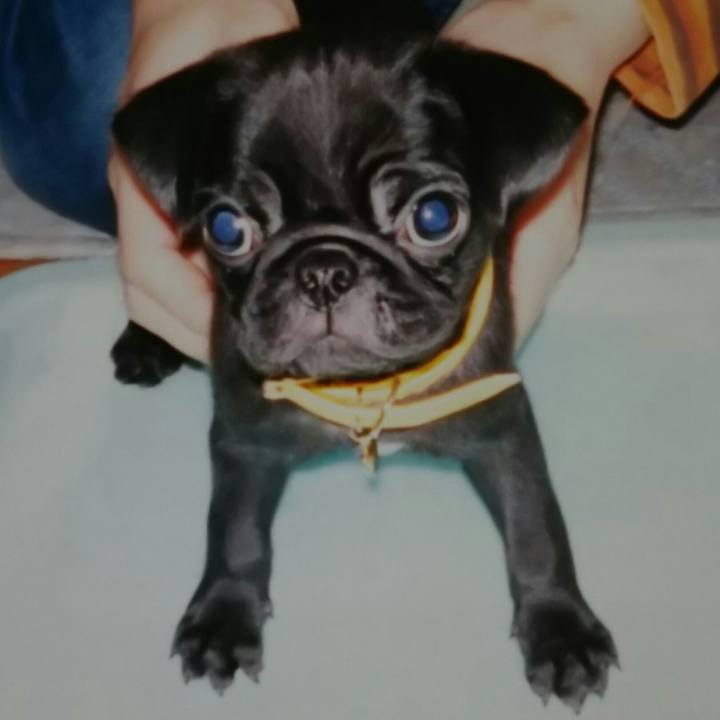 4927b3af b1aa 47ae b2ca 2b99c6bad556