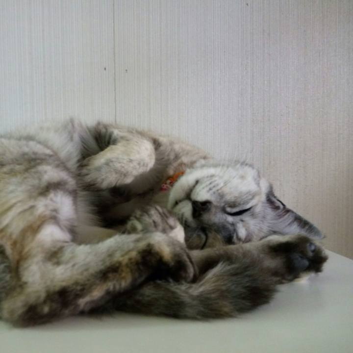 49283a3a 409d 4447 90a9 57828738add5