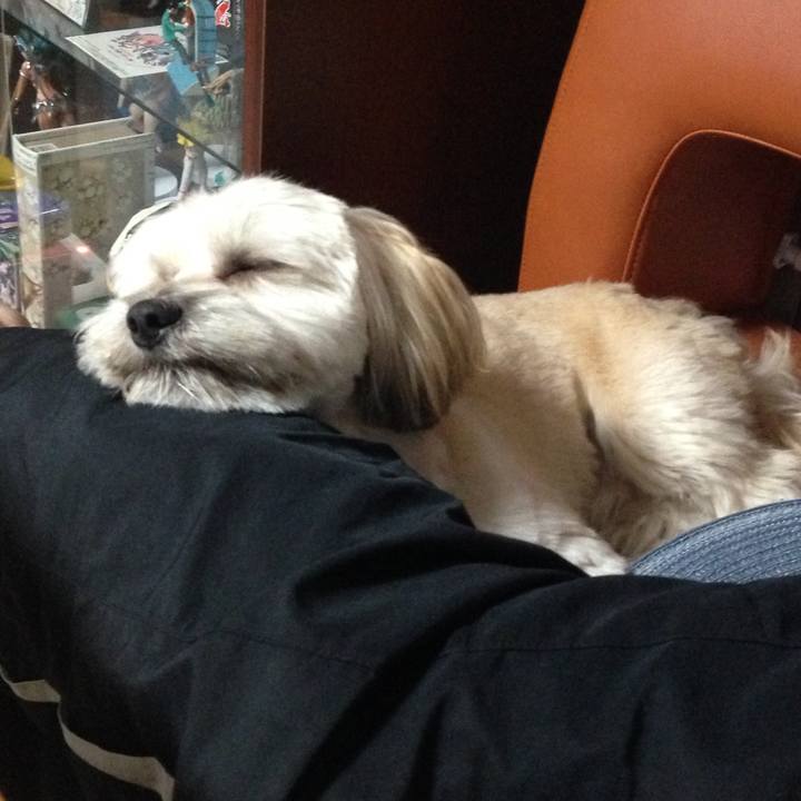 49292597 4205 498f b843 e31a50603221