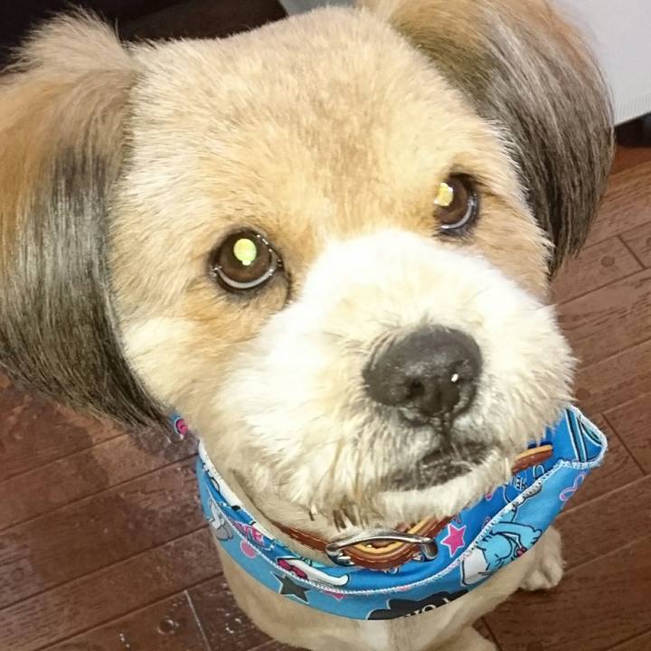 4929320d 65d5 4e23 89bb 075f6a041c45