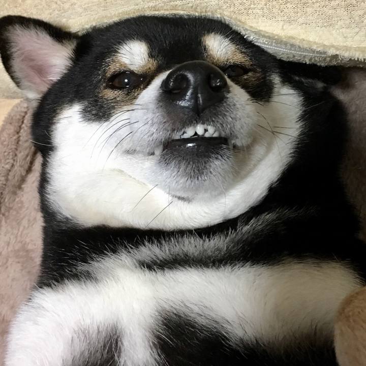 4929840c d671 4325 804e 0fc9a186a32d