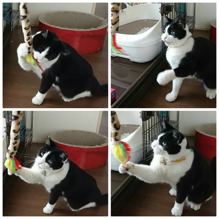 492a40ae 7429 4076 abcf 764b2d05e97c