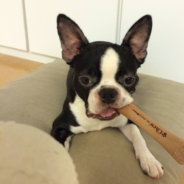 492a434c b76b 47a1 87a5 8c3bf6fa51bb